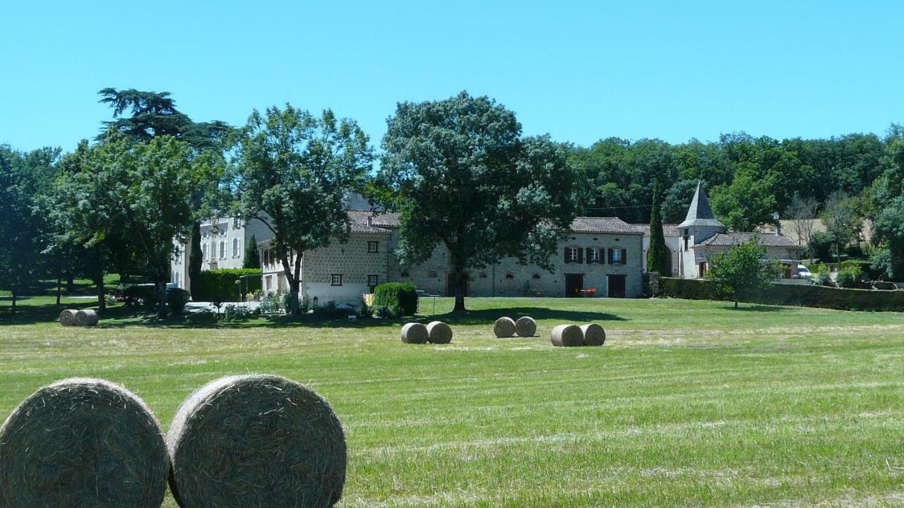 Chateau De La Bousquetarie Lempaut Bagian luar foto